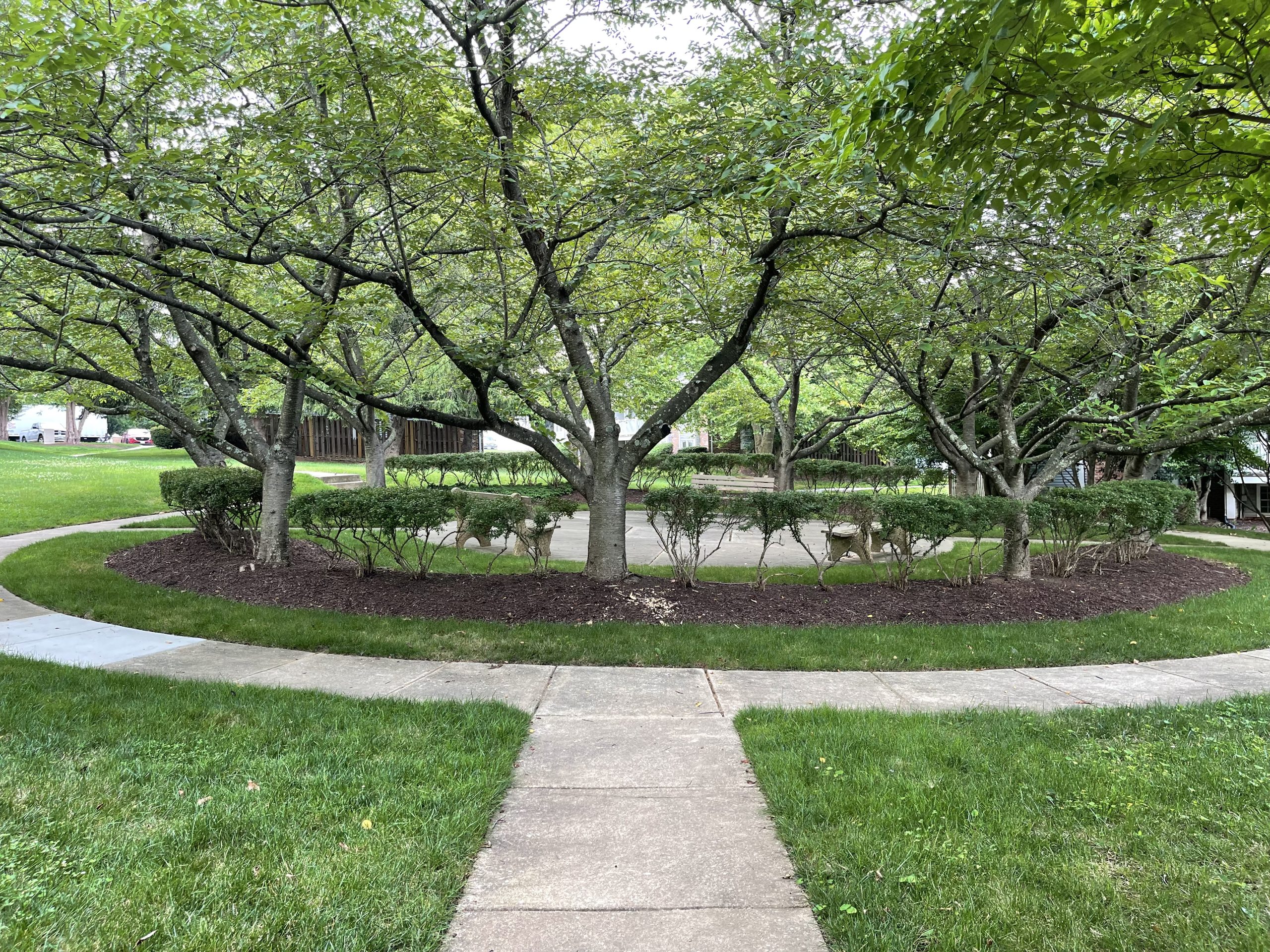 Common court area behind the Park Summit condominium buildings