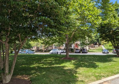 Green space near Park Summit townhouses