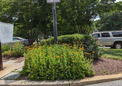 Landscaping in the Park Summit community