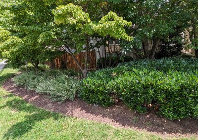 Landscaping in the Park Summit community