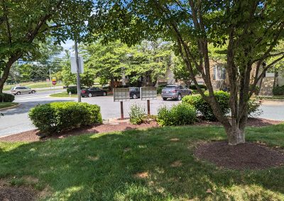 Mailboxes serving Park Summit townhouses