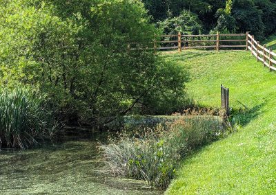 Wet pond in the Park Summit community
